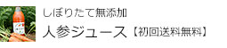 しぼりたて無添加 人参ジュース【初回送料無料】